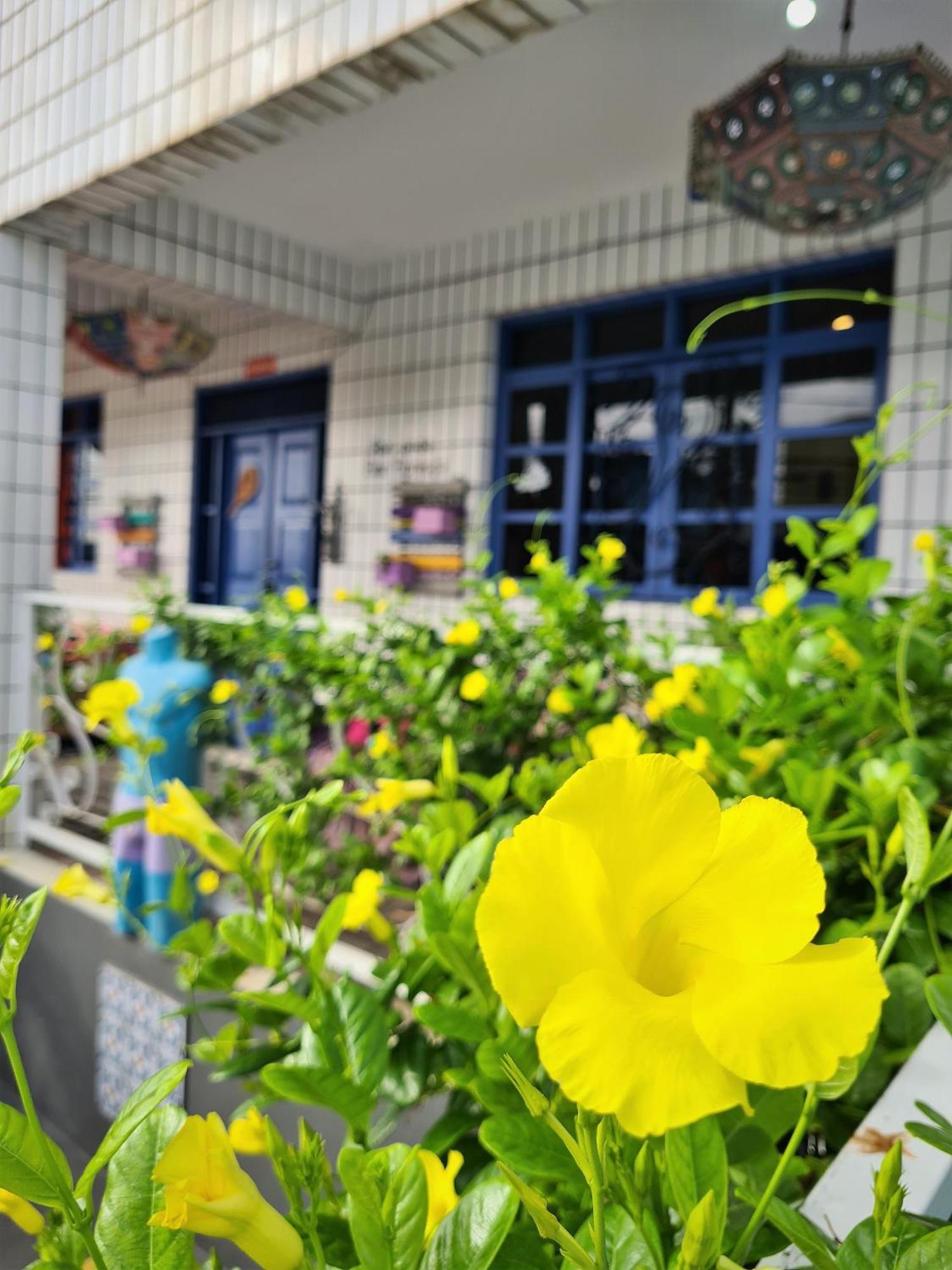 Soul Hostel Natal Bagian luar foto
